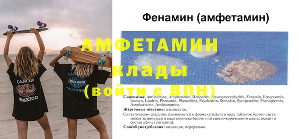 ГАЛЛЮЦИНОГЕННЫЕ ГРИБЫ Гусь-Хрустальный