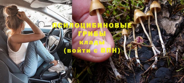 ГАЛЛЮЦИНОГЕННЫЕ ГРИБЫ Гусь-Хрустальный