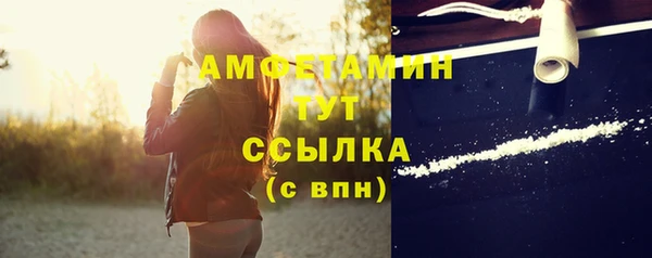 ГАЛЛЮЦИНОГЕННЫЕ ГРИБЫ Гусь-Хрустальный