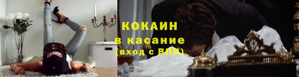 ГАЛЛЮЦИНОГЕННЫЕ ГРИБЫ Гусь-Хрустальный