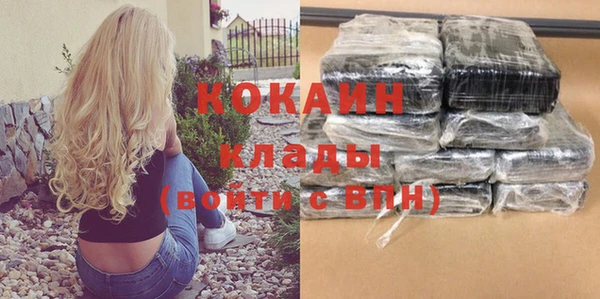 ГАЛЛЮЦИНОГЕННЫЕ ГРИБЫ Гусь-Хрустальный