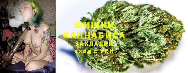 ГАЛЛЮЦИНОГЕННЫЕ ГРИБЫ Гусь-Хрустальный