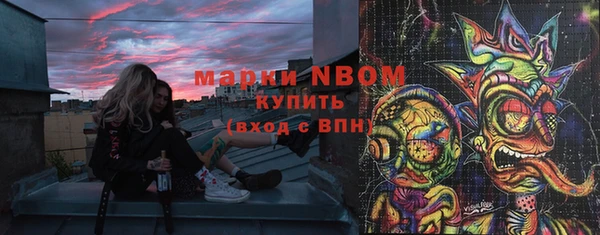 ГАЛЛЮЦИНОГЕННЫЕ ГРИБЫ Гусь-Хрустальный