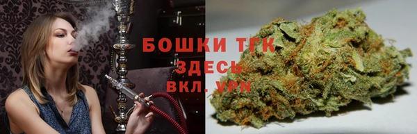ГАЛЛЮЦИНОГЕННЫЕ ГРИБЫ Гусь-Хрустальный
