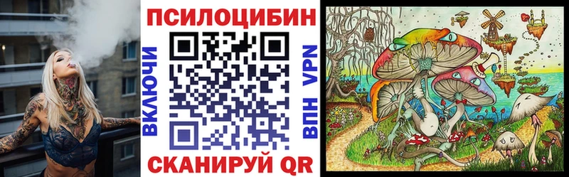 Галлюциногенные грибы Psilocybe  Купить где  Симферополь 